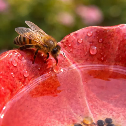 Bee Blossoms™ Handcrafted Ceramic Bee Water Stations | Set of 4