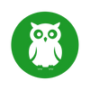 Artisanal Owl Craftsmanship