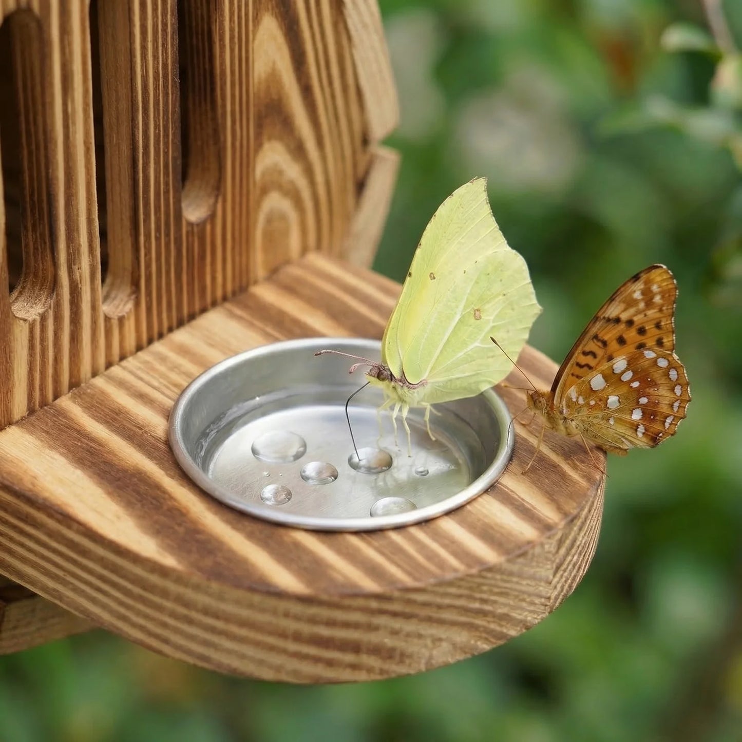 Handcrafted teardrop-shaped butterfly house made from natural wood